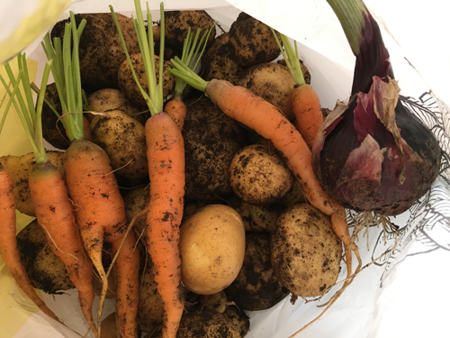 Potatis morötter och rödlök till J