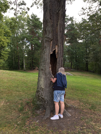 Anna tittar i ett hål i ett träd