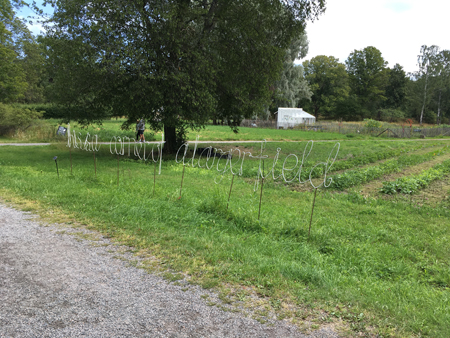 Ska bli ett nytt odlingsland