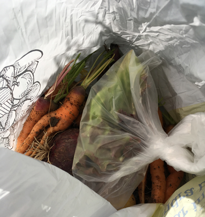 Morötter potatis sallad rödlök