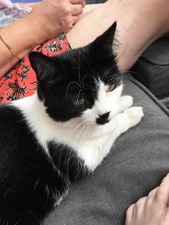 Mini mellan oss i balkongsoffan