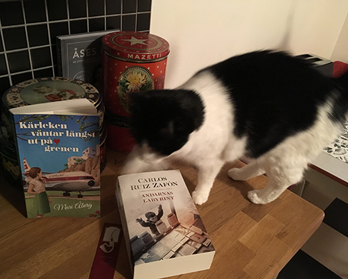 Mini och böckerna Kärleken väntar längst ut på grenen och Andarnas labyrint