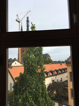 Dômen sedd från Studenthälsan