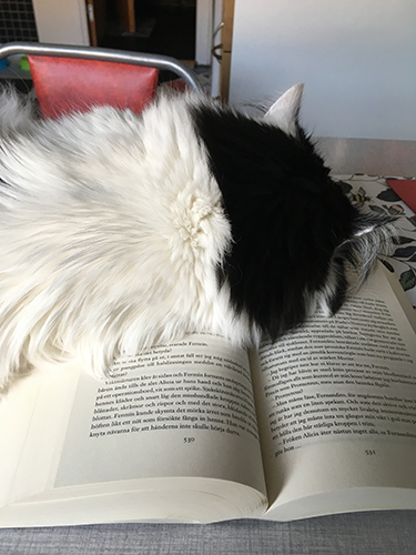 Lucifer har min bok som kudde