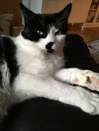 Mini på fåtöljens armstöd