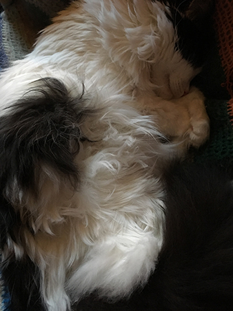 Lucifer sover i skrivbordsstolen