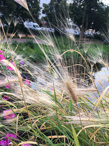 Utsmyckning på St Olofsbron