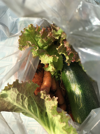 Morötter sallad squash