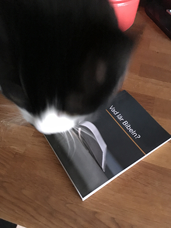 Mini och boken Vad är Bibeln