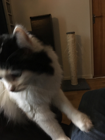 Lucifer trampar på mig