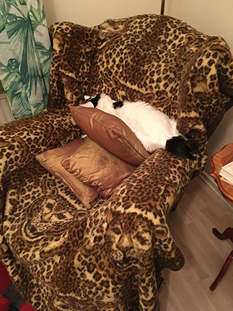 Citrus i farfarsfåtöljen