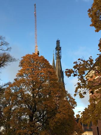 Domkyrkotornen bakom höstträd Domkyrkotornen bakom höstträd