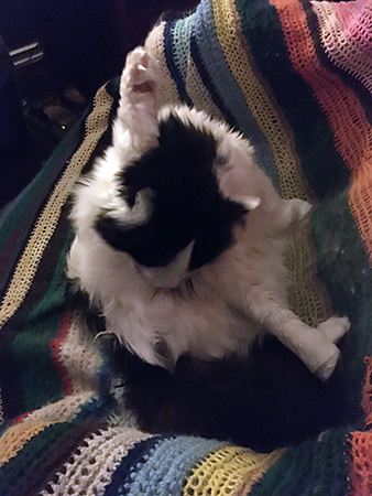 Lucifer tvättar stjärten i skrivbordsstolen