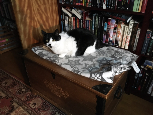 Mini på Annas brudkista