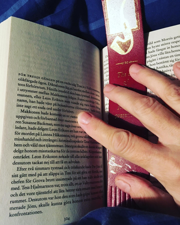 Bokuppslag sidan 304
