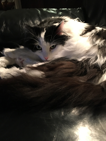 Lucifer i Annas fåtölj