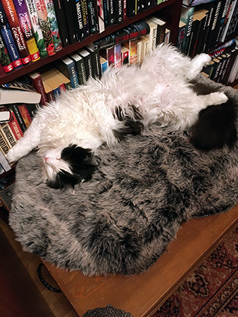 Lucifer på fällen på Annas brudkista