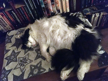 Lucifer sover i Bokrummet