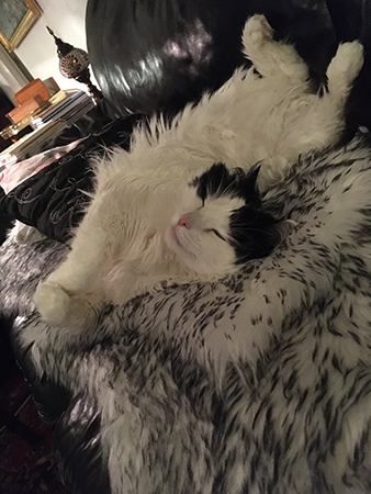 Lucifer sträcker ut sig på fällen