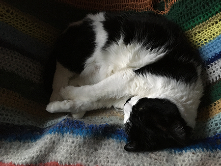 Mini i skrivbordsstolen