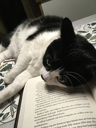 Mini med huvudet i min bok