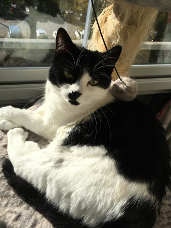 Mini solar på balkongen