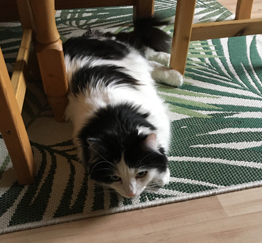 Lucifer under bordet i Djungelrummet