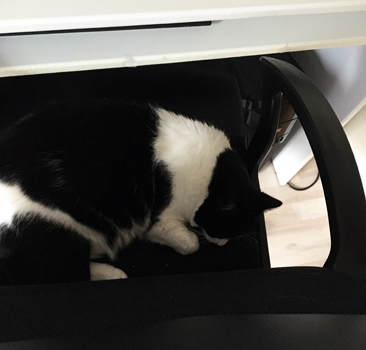 Mini i Es skrivbordsstol