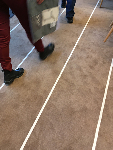 På visning i Universitetsbiblioteket