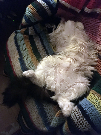 Lucifer utsträckt i skrivbordsstolen Lucifer utsträckt i skrivbordsstolen