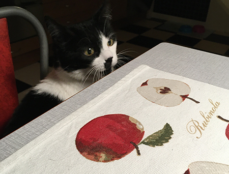 Mini vid köksbordet