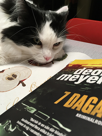 Lucifer och boken 7 dagar