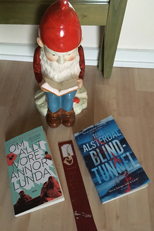Annas tomte och böckerne Om allt vore annorlunda o Blindtunnel