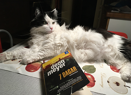 Lucifer på köksbordet med boken 7 dagar