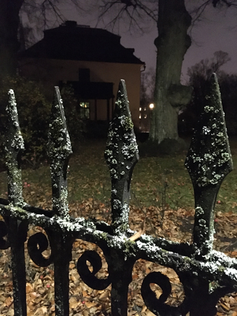 Gjutjärnsstaket med mossa