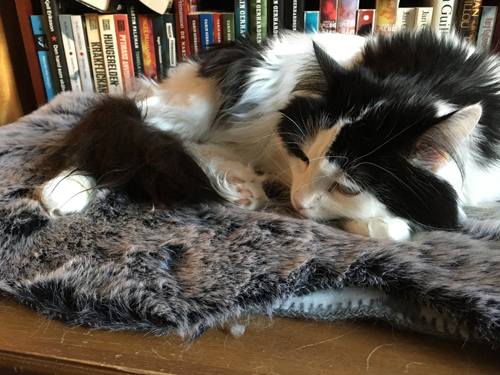 Lucifer på fällen på Annas brudkista