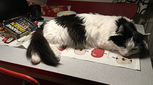 Lucifer på hela köksbordet