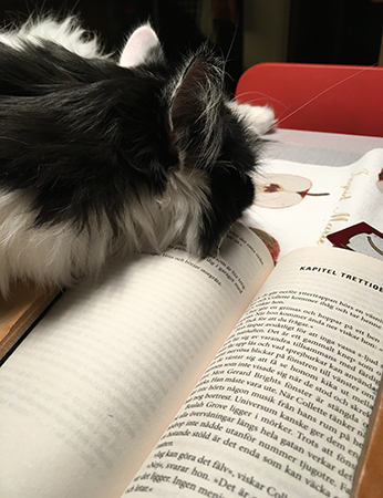 Lucifer på min bok på köksbordet höjdare