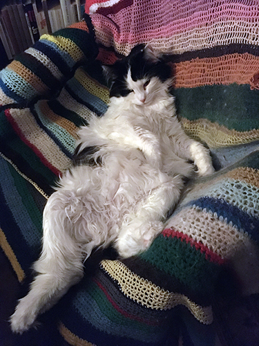 Lucifer utfläkt i skrivbordsstolen