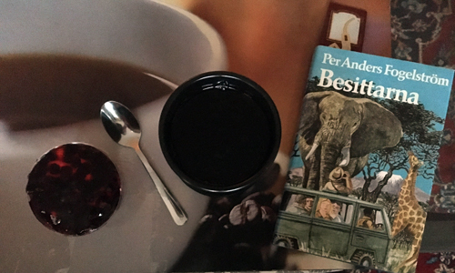 Blåbärsbakelse kaffe och boken Besittarna