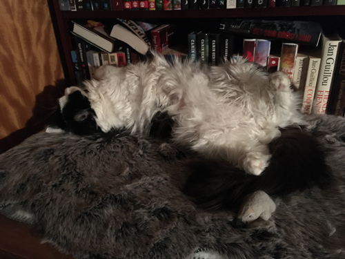 Lucifer på rygg på fällen