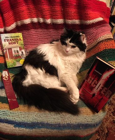 Lucifer och böckerna Franska kort och Skuggpojken