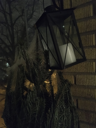 Granen i nät på balkongen med lykta