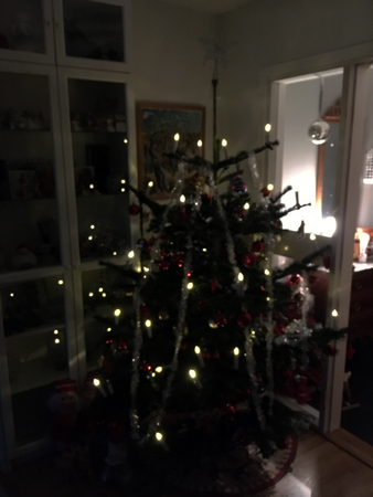 Julgranen med fungerande belysning