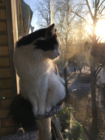 Lucifer på balkongen tittar ut