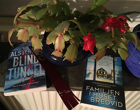 Novemberkaktus och böckerna Blindtunnel och Familjen i huset bredvid