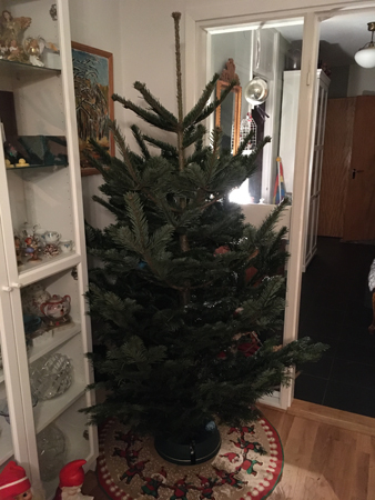 Granen utsläppt ur nätet