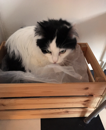 Lucifer i tidningslådan