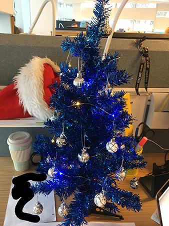 Tomteluva och blå gran