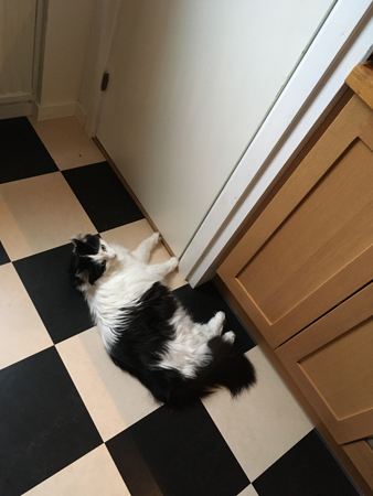 Lucifer utanför skafferiet